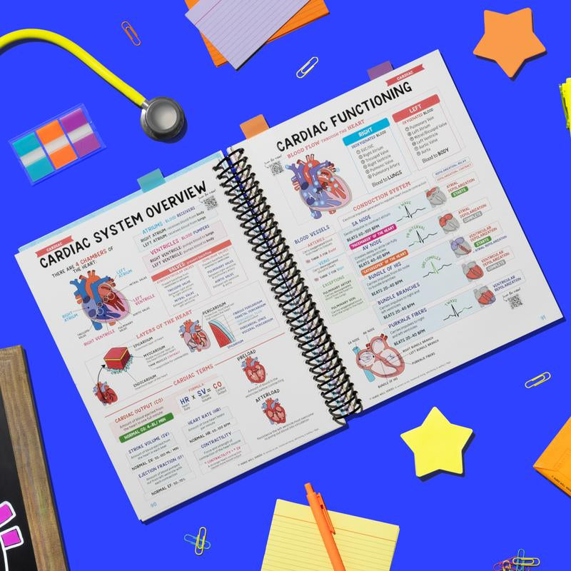 Nursing School Success Bundle [Spiral Bound]